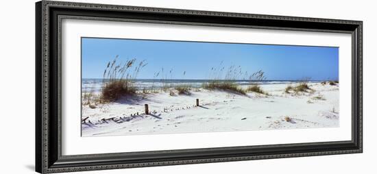 Tall Grass on the Beach, Perdido Key Area, Gulf Islands National Seashore, Pensacola, Florida, USA-null-Framed Photographic Print