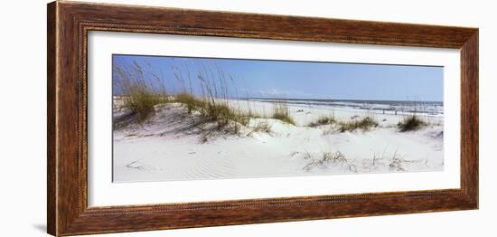 Tall Grass on the Beach, Perdido Key Area, Gulf Islands National Seashore, Pensacola, Florida, USA-null-Framed Photographic Print