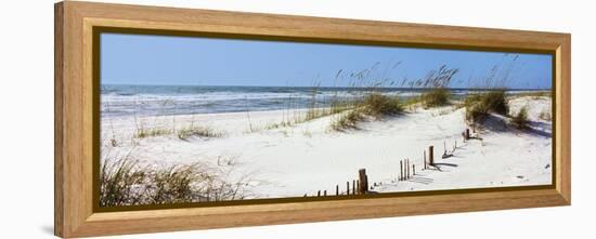 Tall Grass on the Beach, Perdido Key Area, Gulf Islands National Seashore, Pensacola, Florida, USA-null-Framed Stretched Canvas