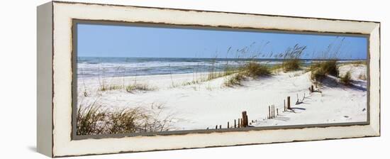 Tall Grass on the Beach, Perdido Key Area, Gulf Islands National Seashore, Pensacola, Florida, USA-null-Framed Stretched Canvas