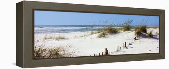 Tall Grass on the Beach, Perdido Key Area, Gulf Islands National Seashore, Pensacola, Florida, USA-null-Framed Stretched Canvas