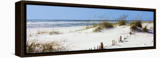 Tall Grass on the Beach, Perdido Key Area, Gulf Islands National Seashore, Pensacola, Florida, USA-null-Framed Stretched Canvas