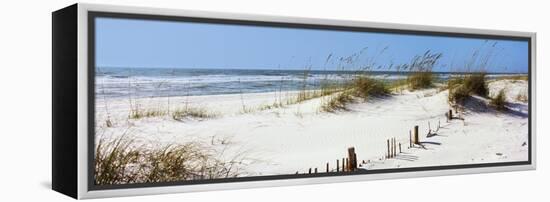 Tall Grass on the Beach, Perdido Key Area, Gulf Islands National Seashore, Pensacola, Florida, USA-null-Framed Stretched Canvas