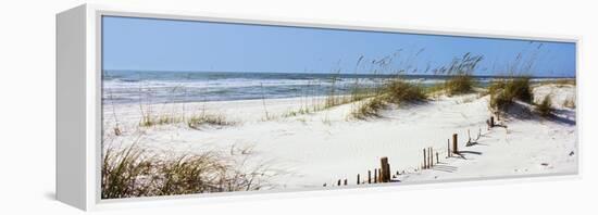 Tall Grass on the Beach, Perdido Key Area, Gulf Islands National Seashore, Pensacola, Florida, USA-null-Framed Stretched Canvas