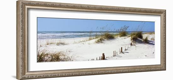 Tall Grass on the Beach, Perdido Key Area, Gulf Islands National Seashore, Pensacola, Florida, USA-null-Framed Photographic Print