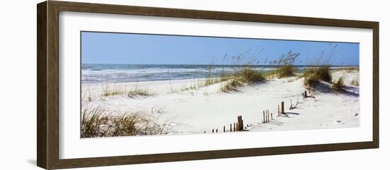 Tall Grass on the Beach, Perdido Key Area, Gulf Islands National Seashore, Pensacola, Florida, USA-null-Framed Photographic Print