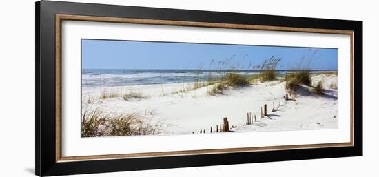 Tall Grass on the Beach, Perdido Key Area, Gulf Islands National Seashore, Pensacola, Florida, USA-null-Framed Photographic Print