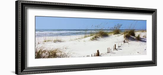 Tall Grass on the Beach, Perdido Key Area, Gulf Islands National Seashore, Pensacola, Florida, USA-null-Framed Photographic Print