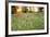 Tall Grass Prairie, Iroquois County State Wildlife Area, Illinois, USA-Adam Jones-Framed Photographic Print