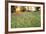 Tall Grass Prairie, Iroquois County State Wildlife Area, Illinois, USA-Adam Jones-Framed Photographic Print