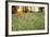 Tall Grass Prairie, Iroquois County State Wildlife Area, Illinois, USA-Adam Jones-Framed Photographic Print