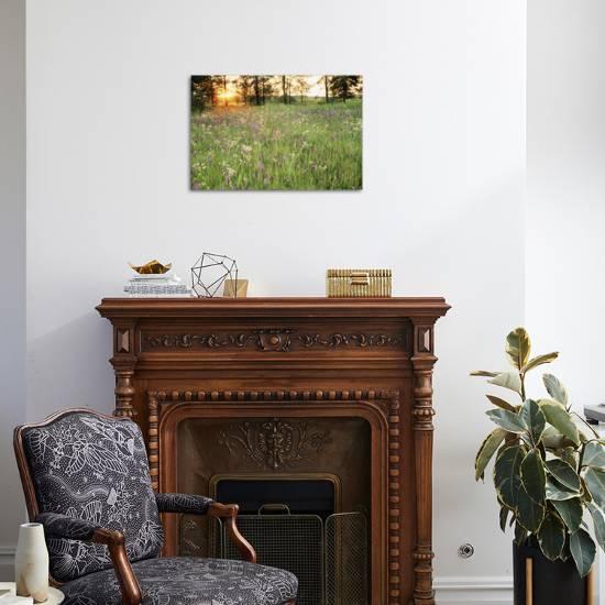 Tall Grass Prairie Iroquois County State Wildlife Area Illinois Usa Photographic Print By Adam Jones Art Com