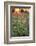 Tall Grass Prairie, Iroquois County State Wildlife Area, Illinois, USA-Adam Jones-Framed Photographic Print