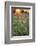 Tall Grass Prairie, Iroquois County State Wildlife Area, Illinois, USA-Adam Jones-Framed Photographic Print