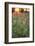 Tall Grass Prairie, Iroquois County State Wildlife Area, Illinois, USA-Adam Jones-Framed Photographic Print