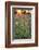 Tall Grass Prairie, Iroquois County State Wildlife Area, Illinois, USA-Adam Jones-Framed Photographic Print