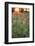 Tall Grass Prairie, Iroquois County State Wildlife Area, Illinois, USA-Adam Jones-Framed Photographic Print