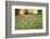 Tall Grass Prairie, Iroquois County State Wildlife Area, Illinois, USA-Adam Jones-Framed Photographic Print