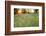 Tall Grass Prairie, Iroquois County State Wildlife Area, Illinois, USA-Adam Jones-Framed Photographic Print