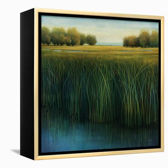 Tall Grass-Jason Jarava-Framed Premier Image Canvas