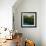 Tall Grass-Jason Jarava-Framed Giclee Print displayed on a wall