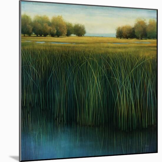 Tall Grass-Jason Jarava-Mounted Giclee Print