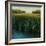 Tall Grass-Jason Jarava-Framed Giclee Print