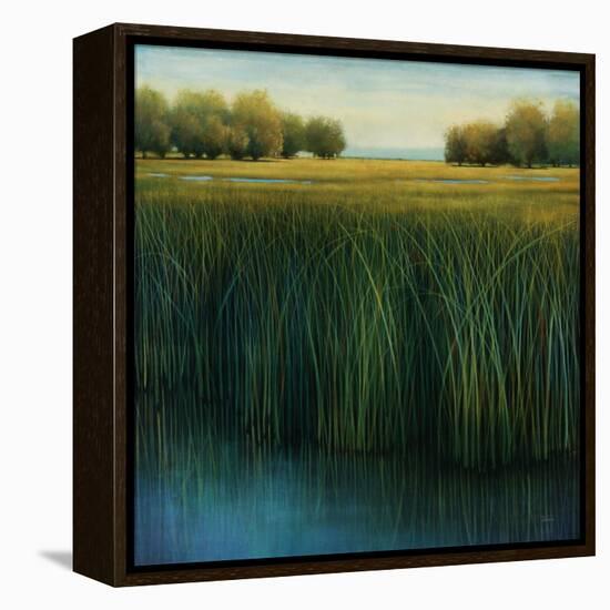 Tall Grass-Jason Jarava-Framed Premier Image Canvas