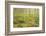 Tall Grasses-Michael Hudson-Framed Art Print