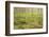 Tall Grasses-Michael Hudson-Framed Art Print