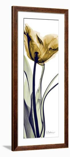 Tall Orange Tulip-Albert Koetsier-Framed Premium Giclee Print