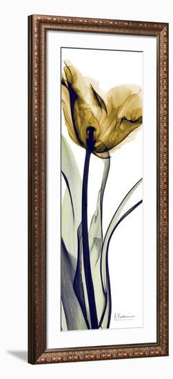 Tall Orange Tulip-Albert Koetsier-Framed Premium Giclee Print