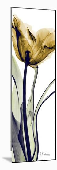 Tall Orange Tulip-Albert Koetsier-Mounted Art Print