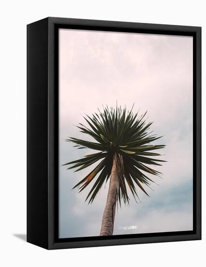 Tall Palm-PhotoINC Studio-Framed Stretched Canvas