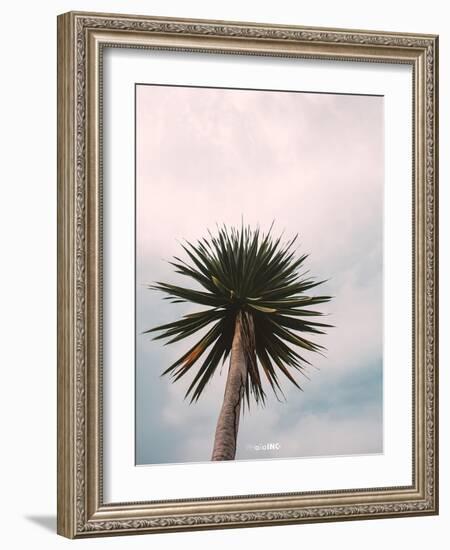 Tall Palm-PhotoINC Studio-Framed Art Print