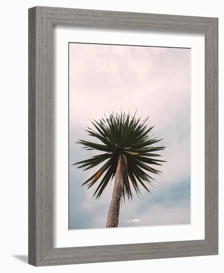 Tall Palm-PhotoINC Studio-Framed Art Print