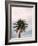 Tall Palm-PhotoINC Studio-Framed Art Print