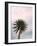 Tall Palm-PhotoINC Studio-Framed Art Print