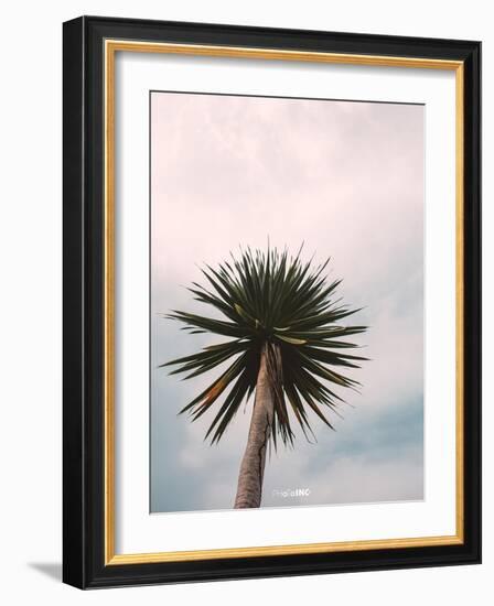 Tall Palm-PhotoINC Studio-Framed Art Print