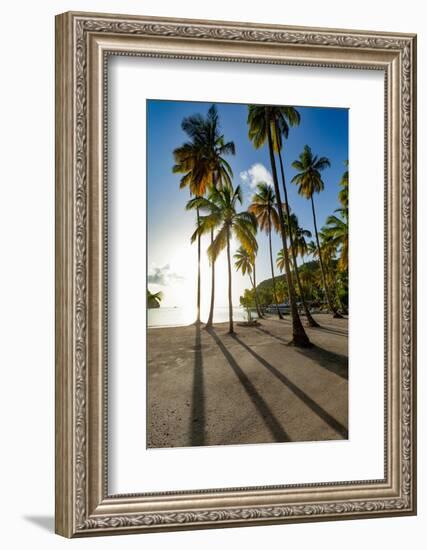 Tall palms and long shadows on the small beach at Marigot Bay, St. Lucia, Windward Islands, West In-Martin Child-Framed Photographic Print