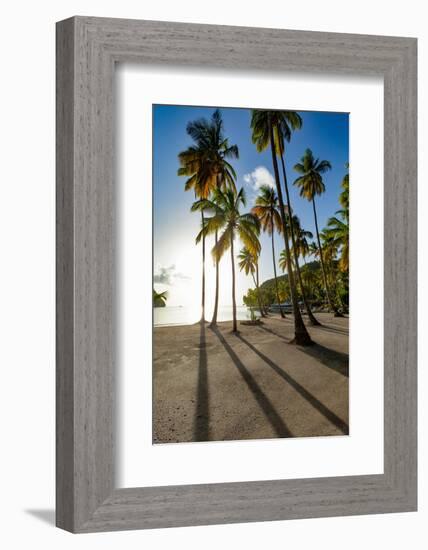 Tall palms and long shadows on the small beach at Marigot Bay, St. Lucia, Windward Islands, West In-Martin Child-Framed Photographic Print