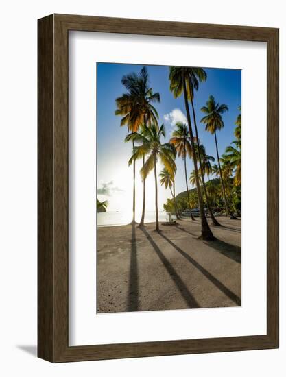 Tall palms and long shadows on the small beach at Marigot Bay, St. Lucia, Windward Islands, West In-Martin Child-Framed Photographic Print