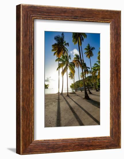 Tall palms and long shadows on the small beach at Marigot Bay, St. Lucia, Windward Islands, West In-Martin Child-Framed Photographic Print