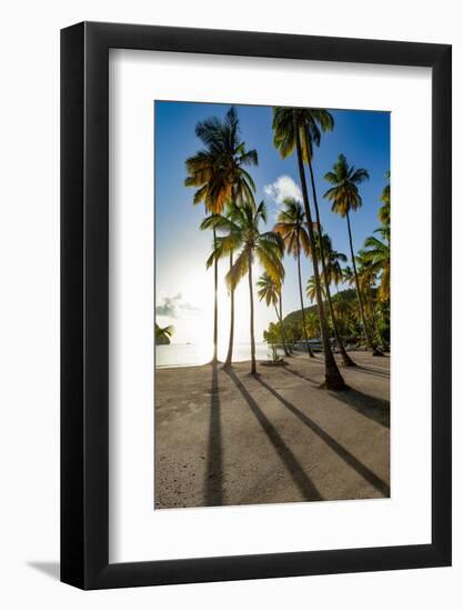 Tall palms and long shadows on the small beach at Marigot Bay, St. Lucia, Windward Islands, West In-Martin Child-Framed Photographic Print