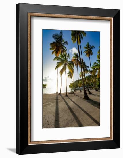 Tall palms and long shadows on the small beach at Marigot Bay, St. Lucia, Windward Islands, West In-Martin Child-Framed Photographic Print