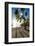 Tall palms and long shadows on the small beach at Marigot Bay, St. Lucia, Windward Islands, West In-Martin Child-Framed Photographic Print