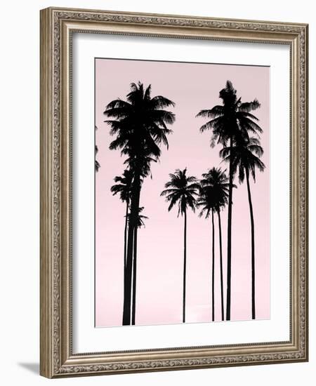 Tall Palms Black on Pink II-Mia Jensen-Framed Art Print