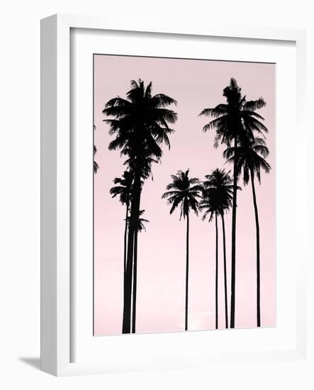 Tall Palms Black on Pink II-Mia Jensen-Framed Art Print