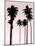 Tall Palms Black on Pink II-Mia Jensen-Mounted Art Print