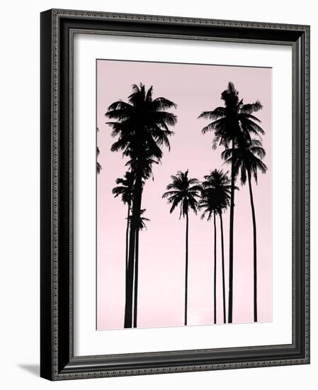 Tall Palms Black on Pink II-Mia Jensen-Framed Art Print